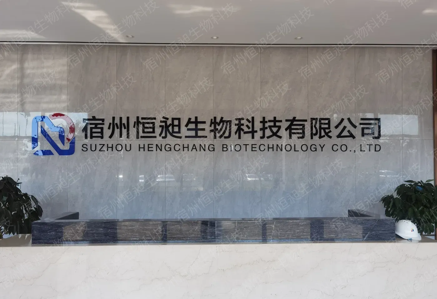 办公楼